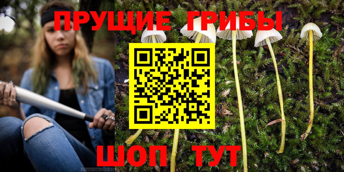 Псилоцибиновые грибы ЛСД Кыштым