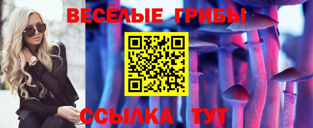Галлюциногенные грибы GOLDEN TEACHER  Вход с VPN  Кыштым 